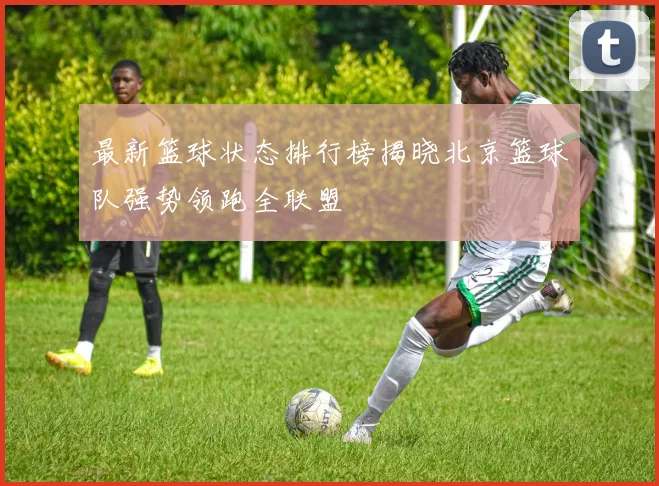 最新篮球状态排行榜揭晓北京篮球队强势领跑全联盟